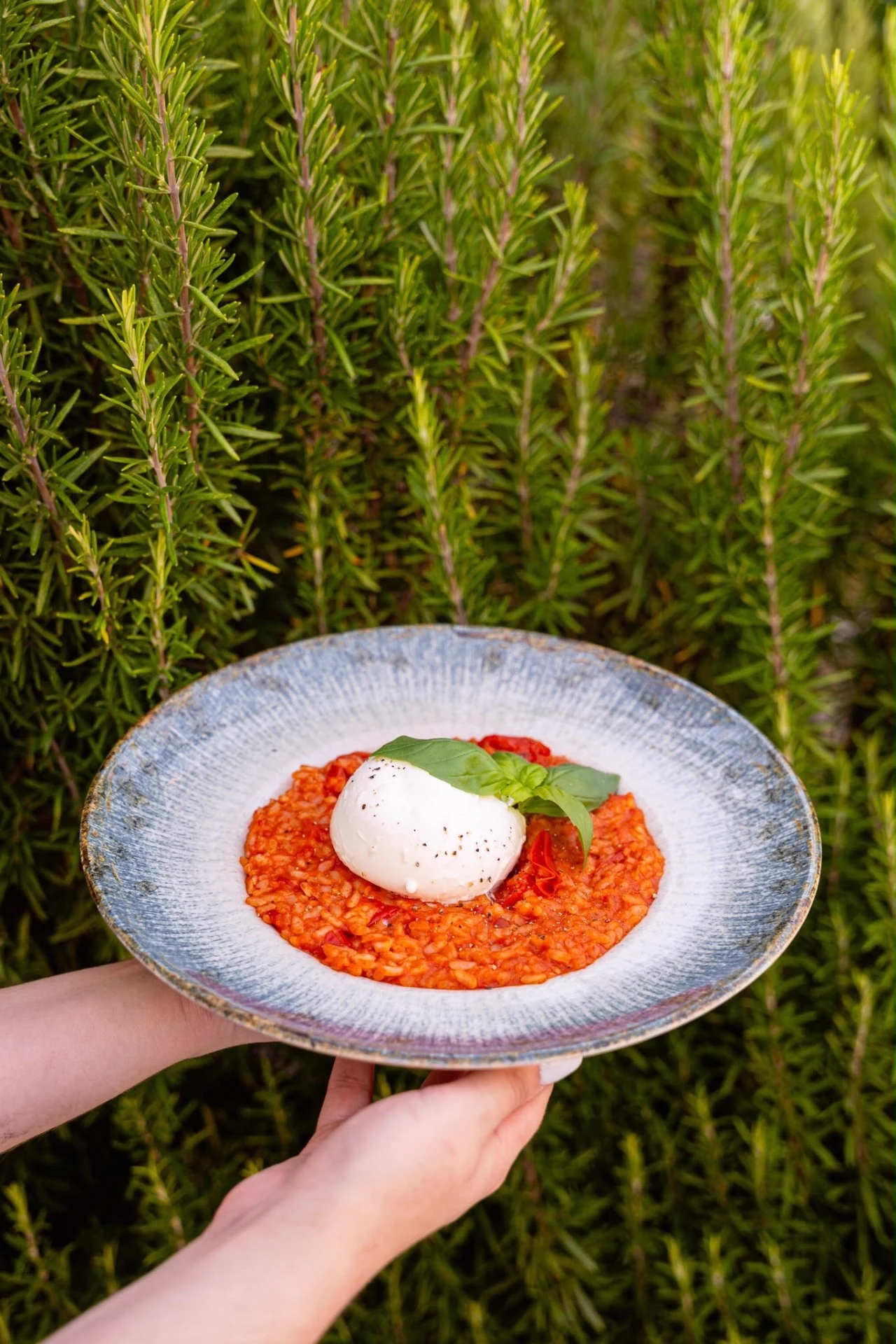 Risotto Al Pomodoro